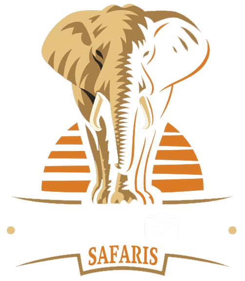 KZN Photo Safaris